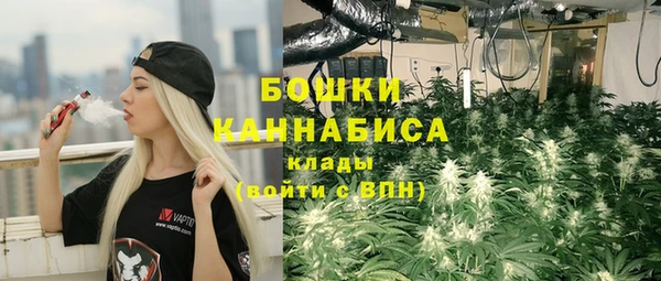 дурь Анива